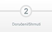 Doru�en�/Shrnut�